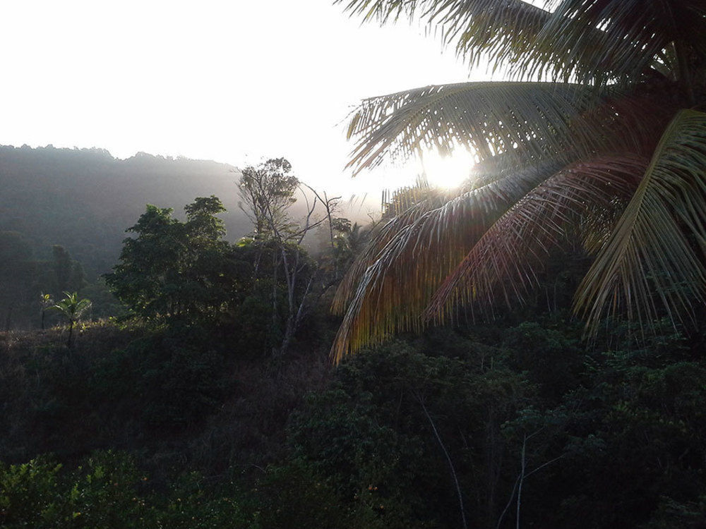 Las Cuevas Beach Lodge 외부 사진